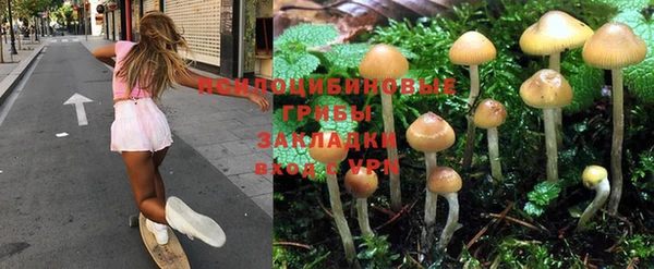 а пвп мука Абдулино