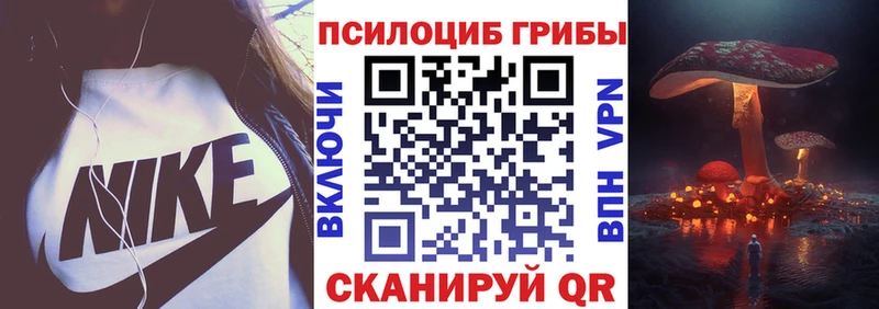 Псилоцибиновые грибы MAGIC MUSHROOMS  Камень-на-Оби 