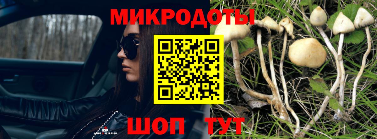 Камень-на-Оби  Галлюциногенные грибы Magic Shrooms  Псилоцибиновые грибы GOLDEN TEACHER  Вход с VPN 