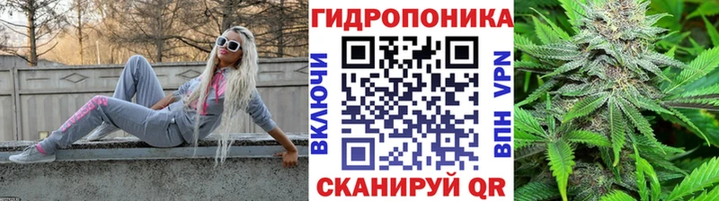 наркота  маркетплейс официальный сайт  Шишки марихуана марихуана  Камень-на-Оби 
